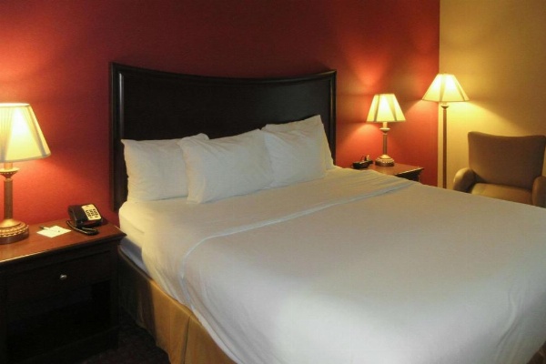 Quality Inn & Suites image 10